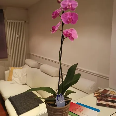 Casa Dolce Casa Apartment Modena